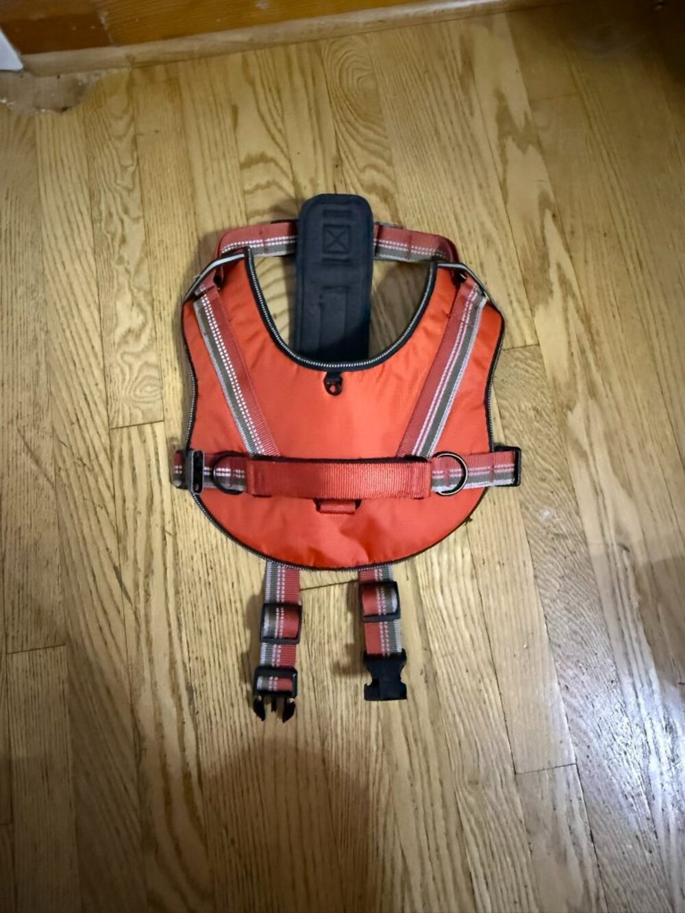 Top Paw Adjustable Neoprene Harness
